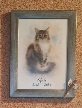 Kundenfoto zu diesem Geschenk