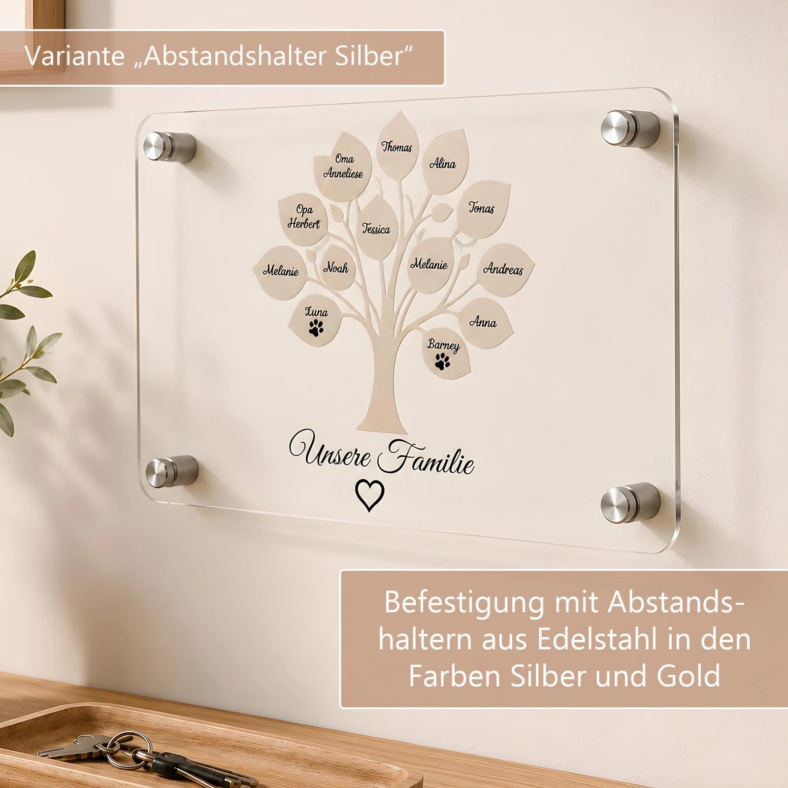 Infografik zur Wandbefestigung einer transparenten Familienstammbaum-Tafel: Vier runde Abstandshalter halten die Platte; dargestellt ist Silber, erhältlich sind Silber und Gold.