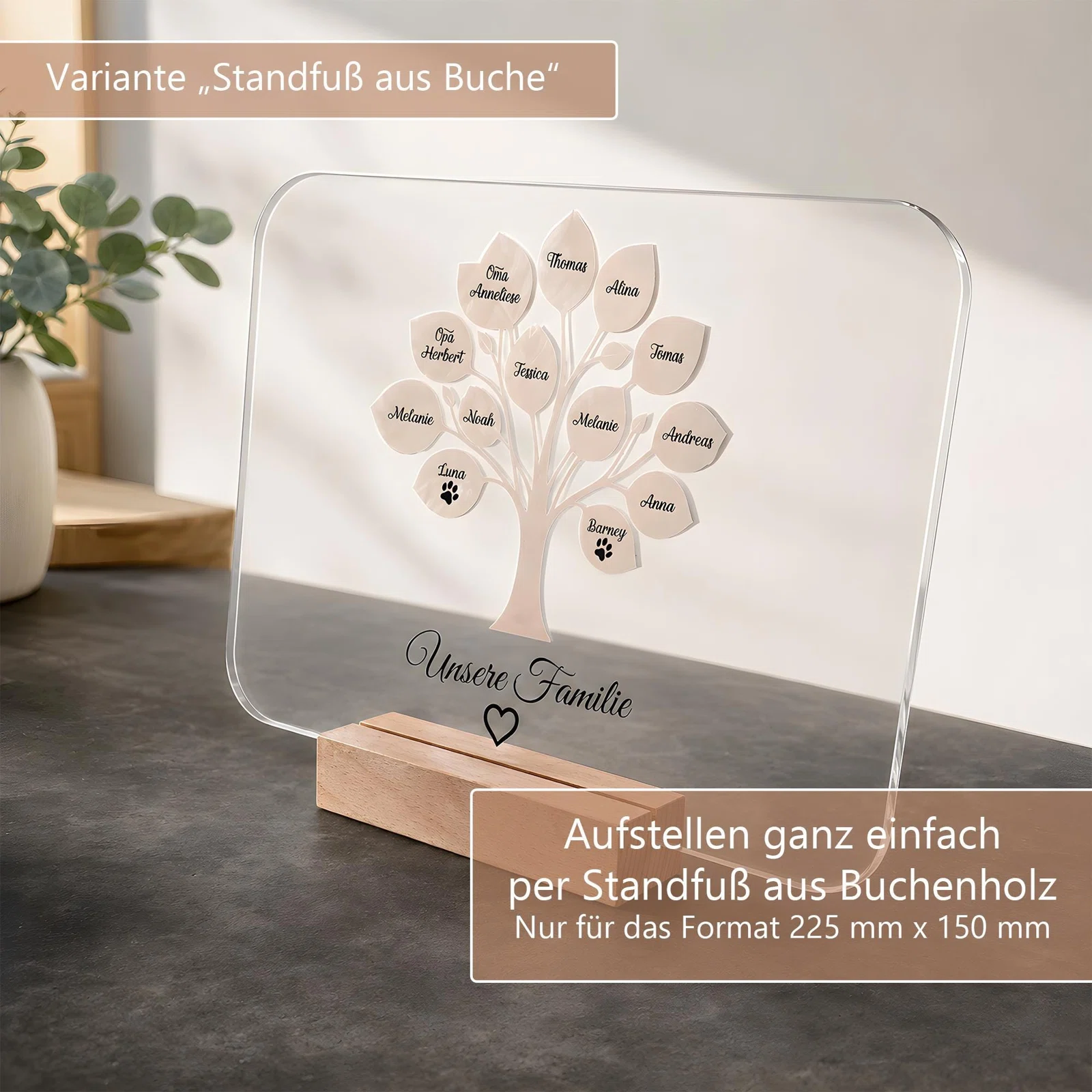 Infografik zur Variante mit Standfuß aus Buchenholz: Die transparente Familientafel wird in die Nut des Holzsockels gesteckt. Geeignet ausschließlich für das Format 225 × 150 mm.